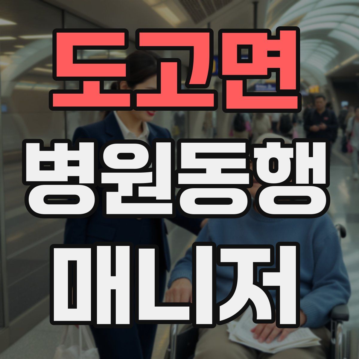 도고면 병원동행매니저 자격증