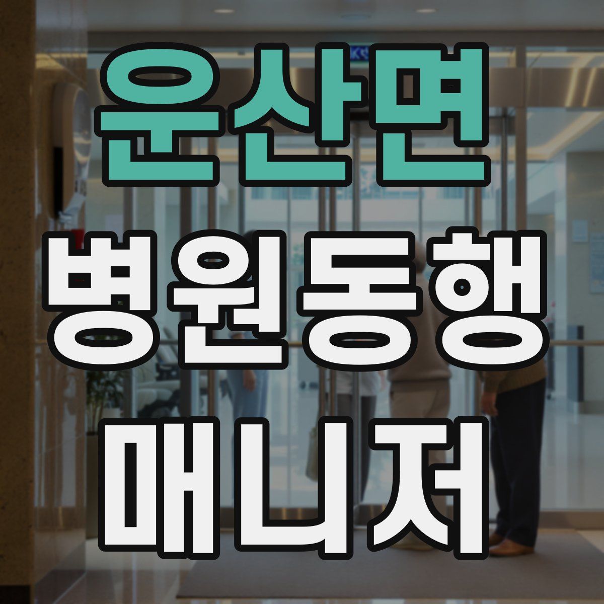 운산면 병원동행매니저 자격증