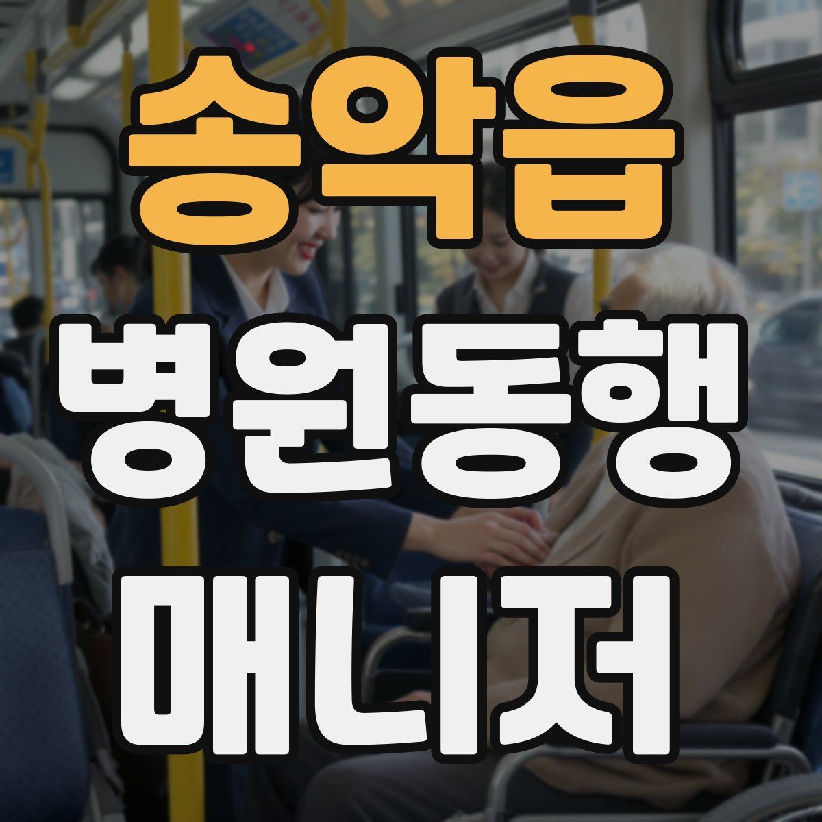 송악읍 병원동행매니저 자격증