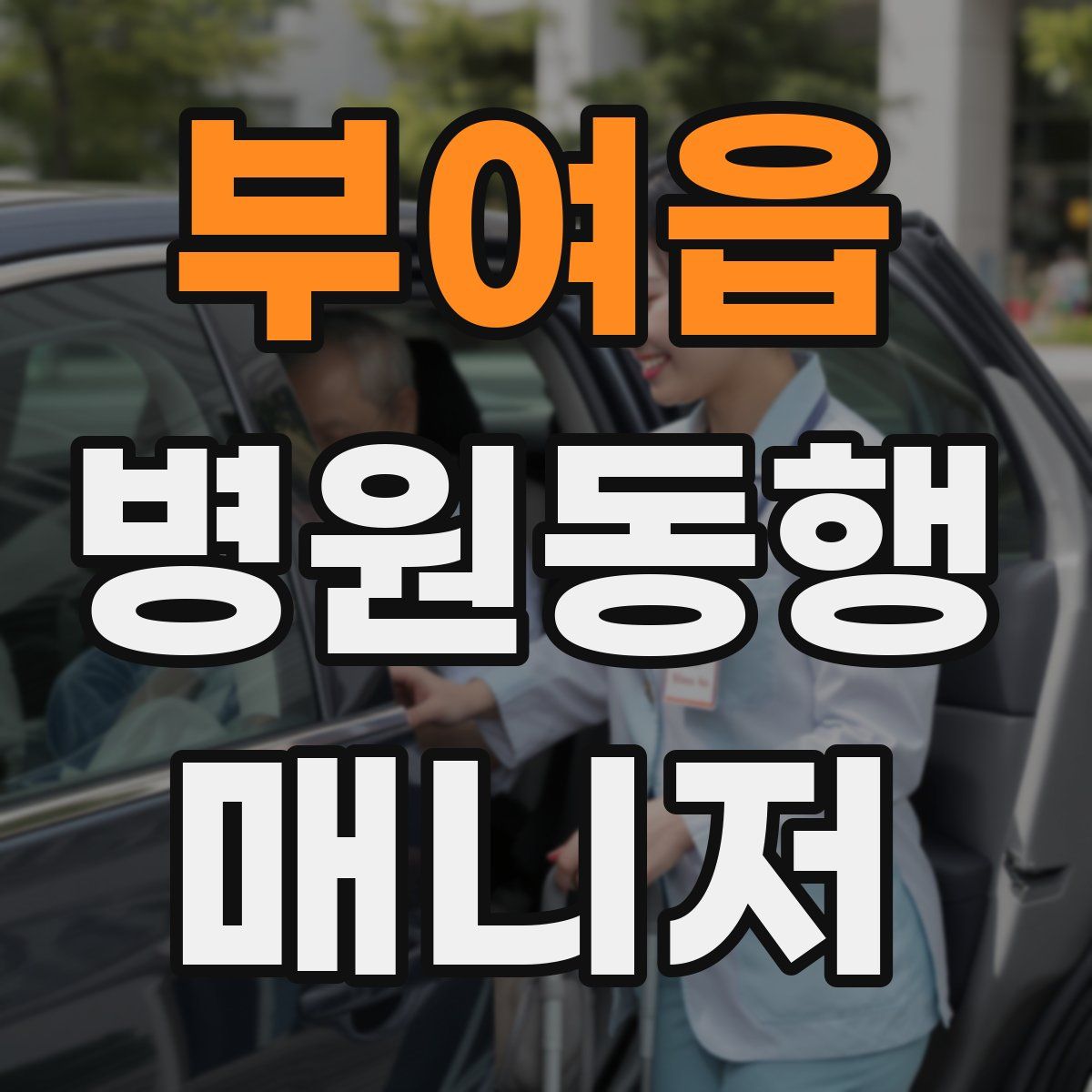 부여읍 병원동행매니저 자격증