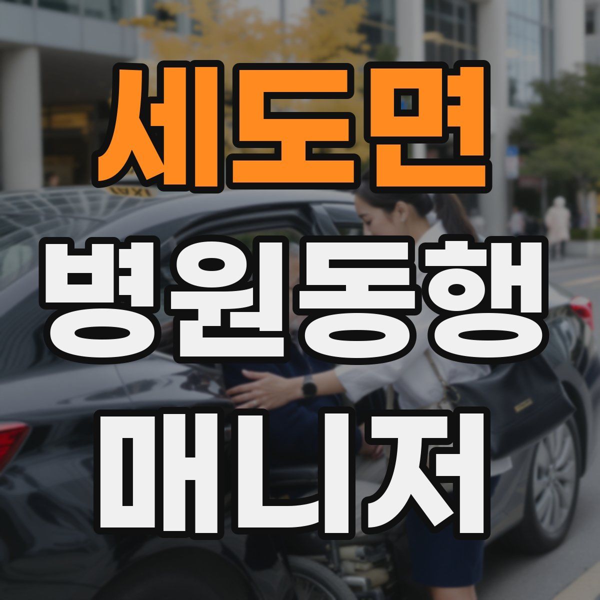 세도면 병원동행매니저 자격증