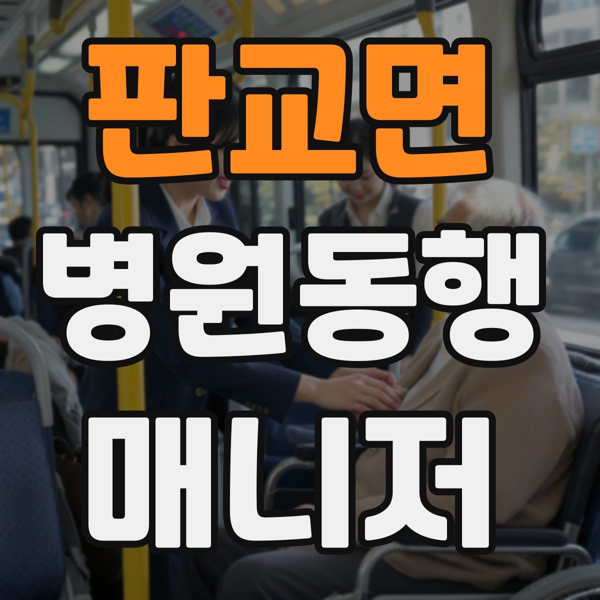 판교면 병원동행매니저 자격증