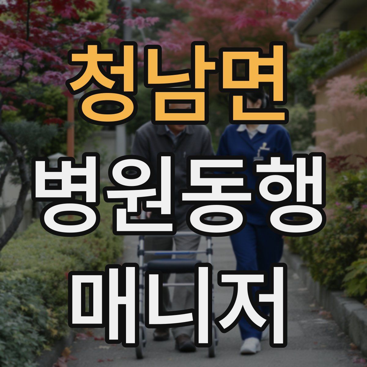 청남면 병원동행매니저 자격증