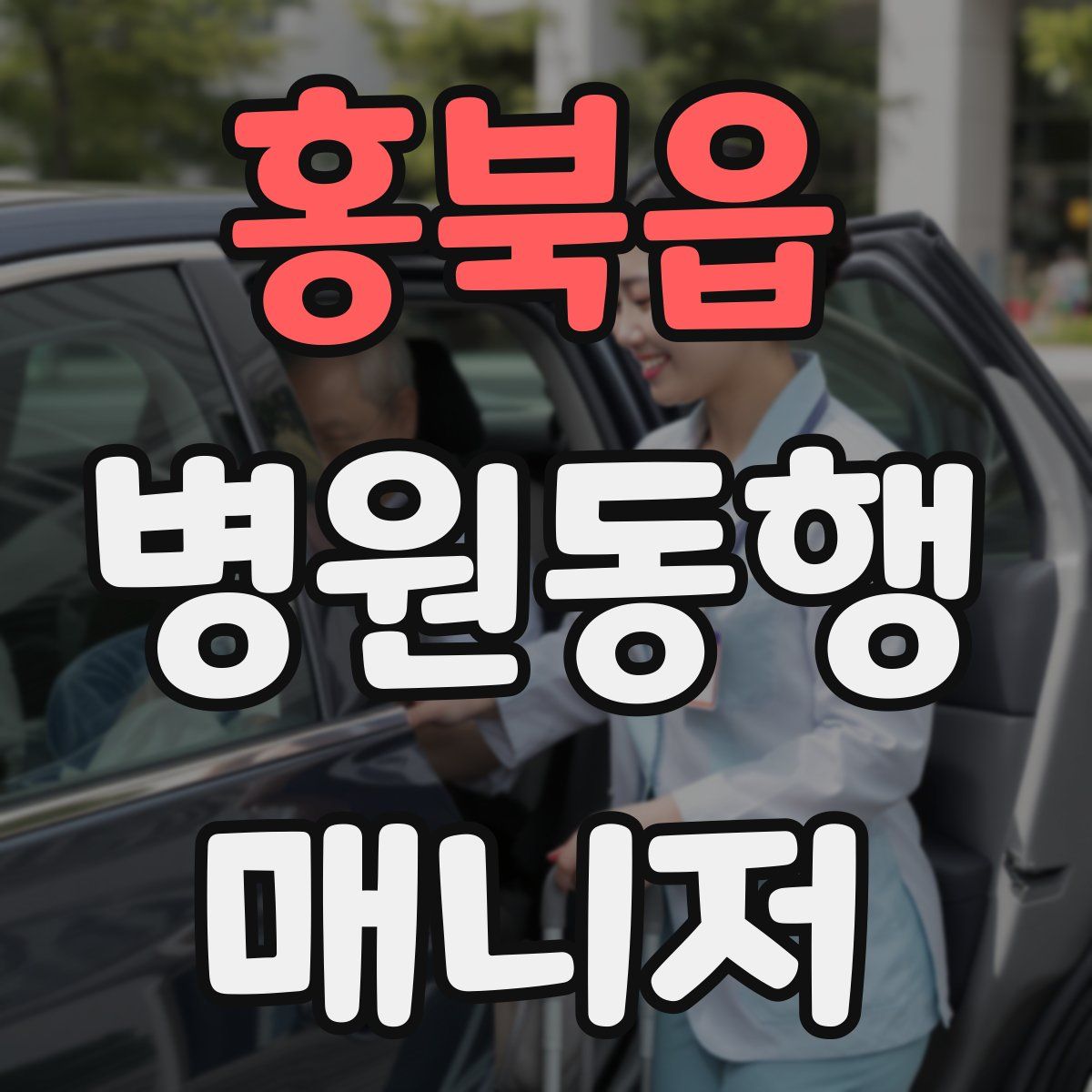 홍북읍 병원동행매니저 자격증