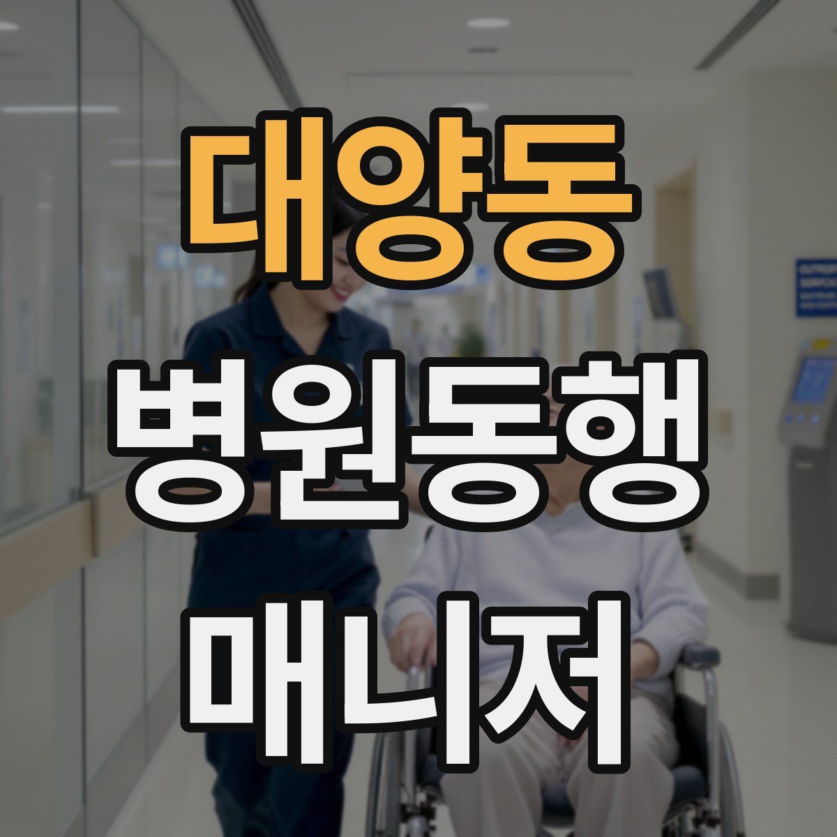 대양동 병원동행매니저 자격증