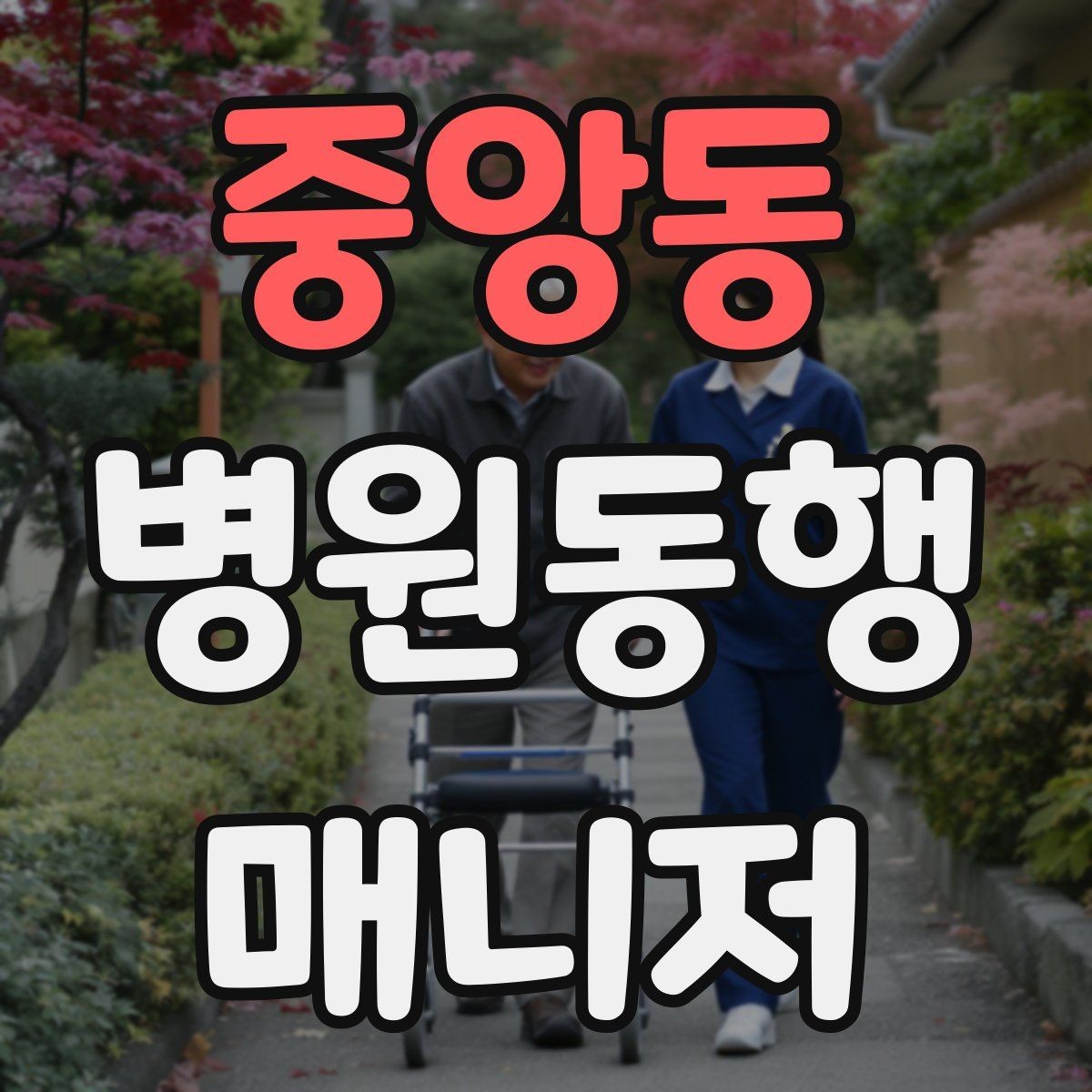 중앙동 병원동행매니저 자격증 서류 분실을 막는 관리 방법