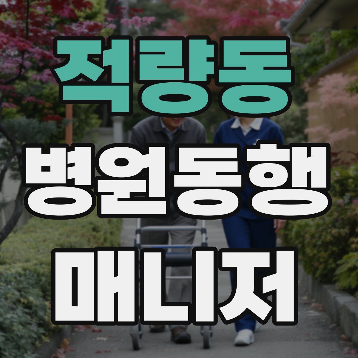 적량동 병원동행매니저 자격증