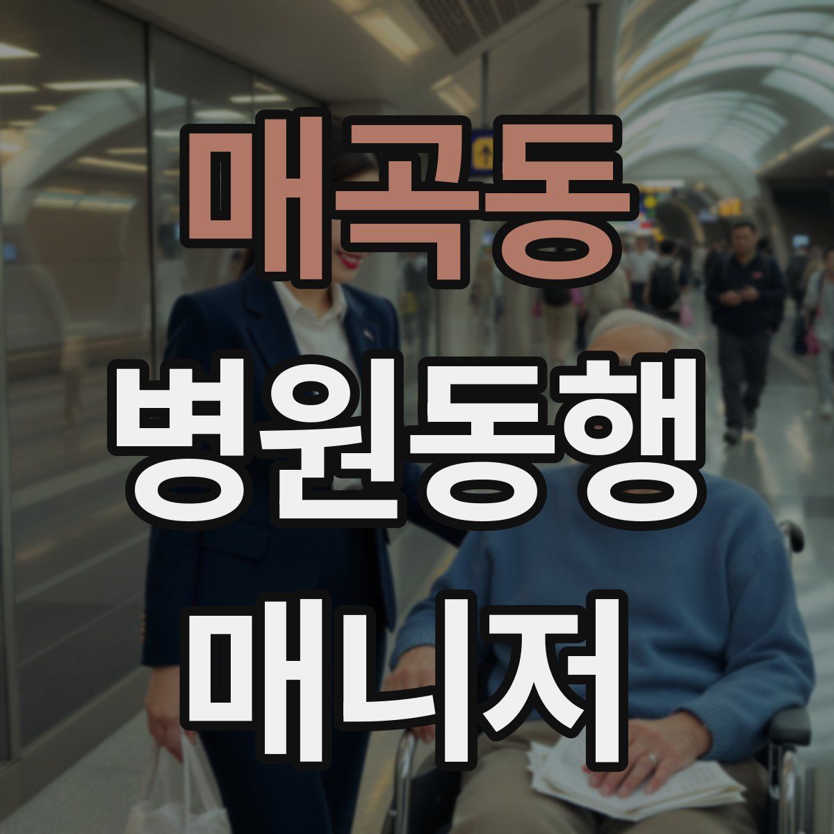 매곡동 병원동행매니저 자격증