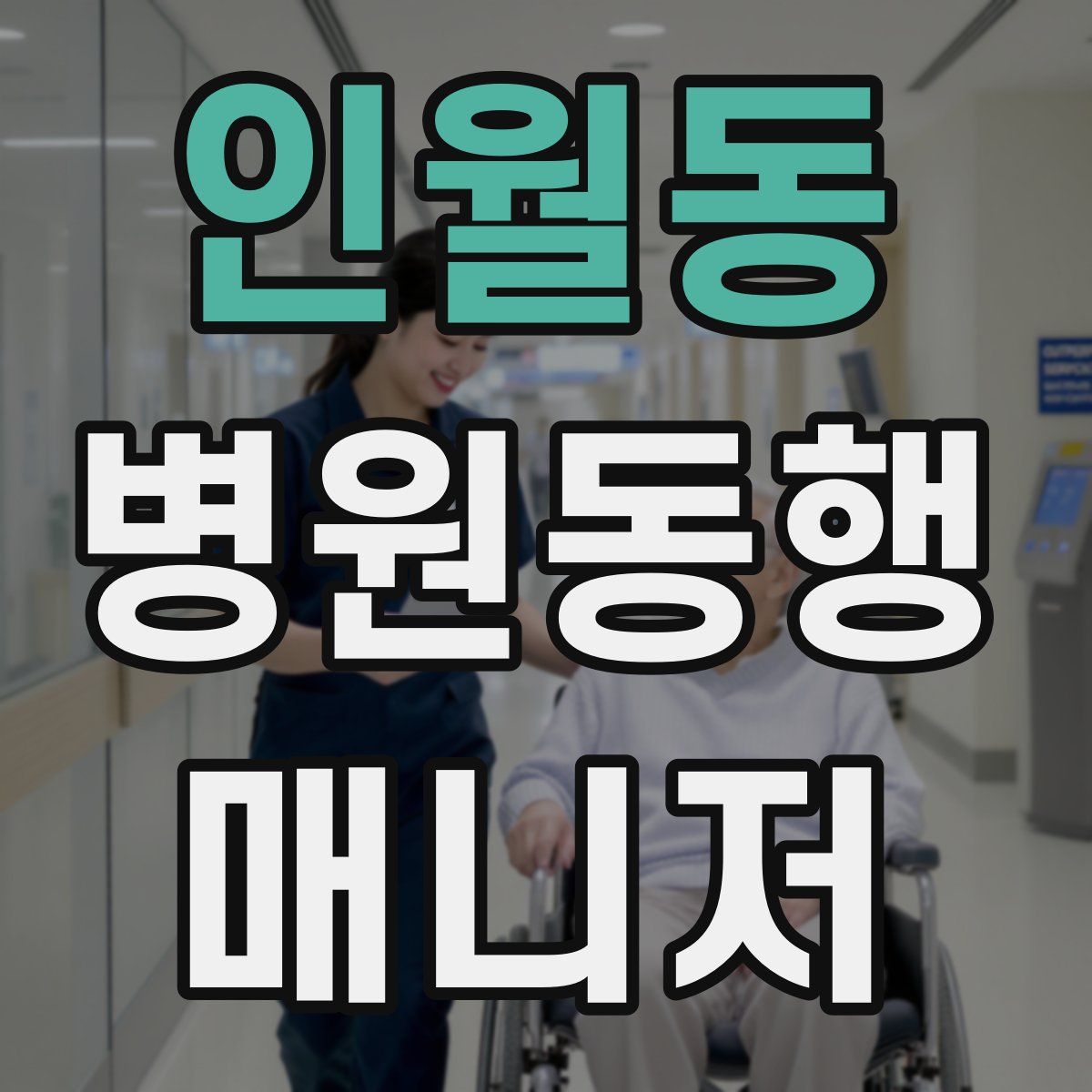 인월동 병원동행매니저 자격증