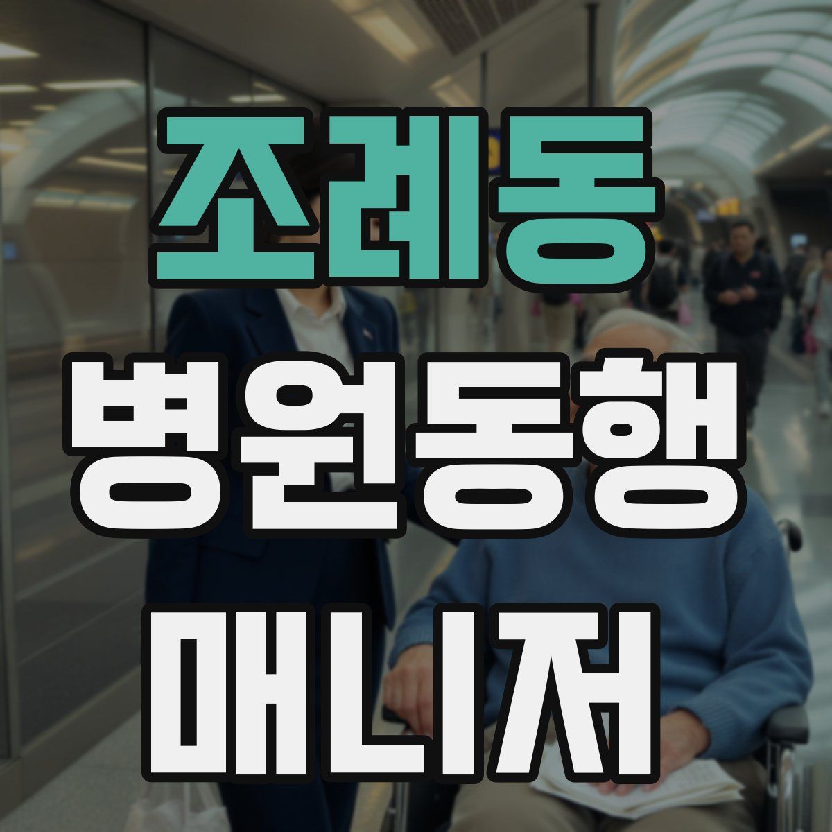 조례동 병원동행매니저 자격증