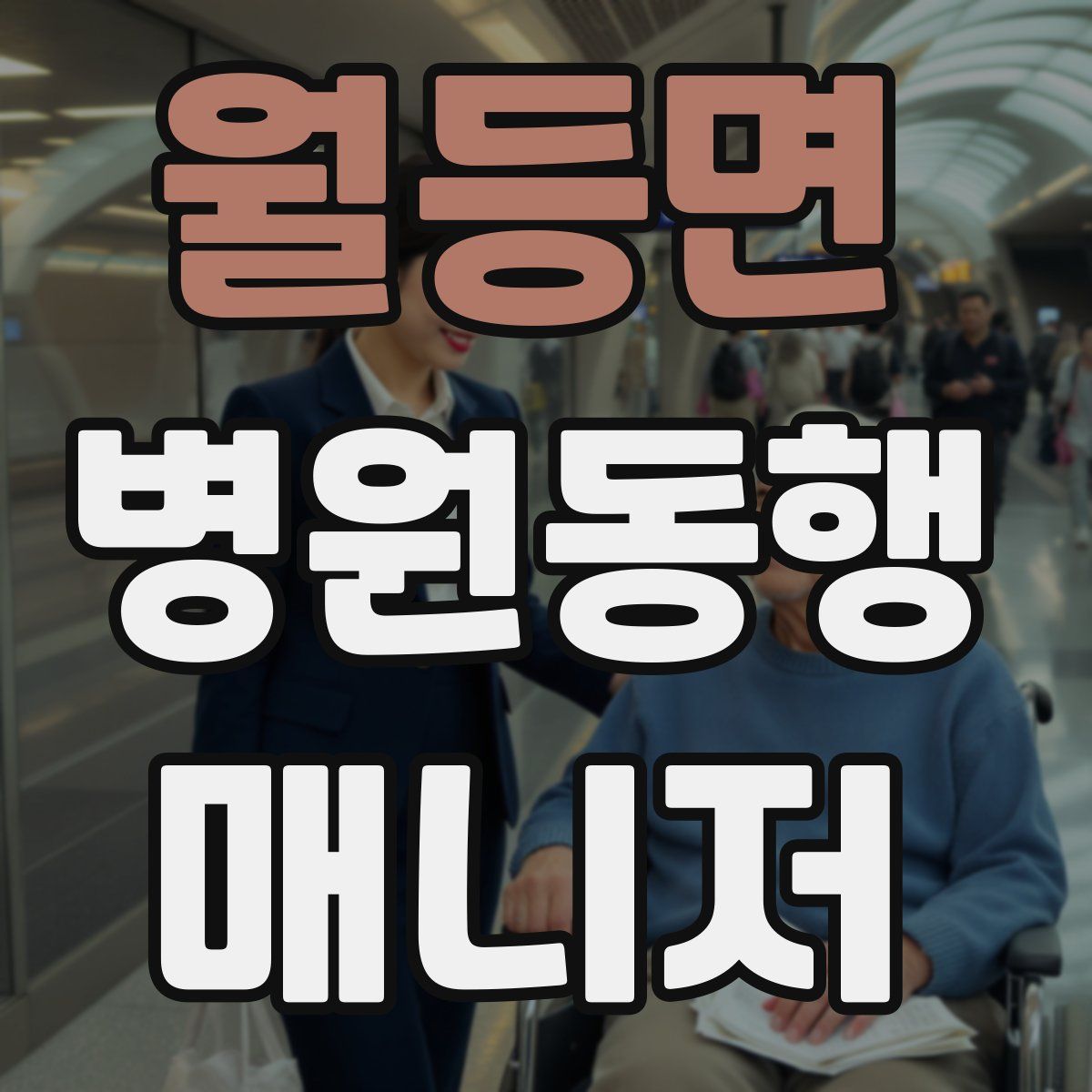 월등면 병원동행매니저 자격증