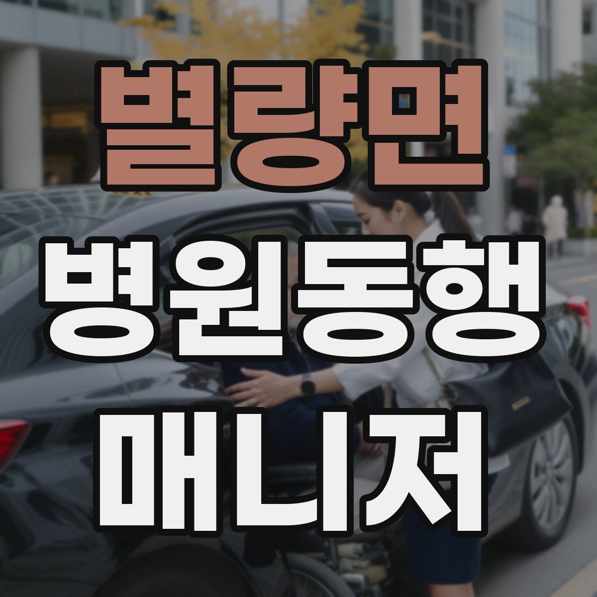 별량면 병원동행매니저 자격증