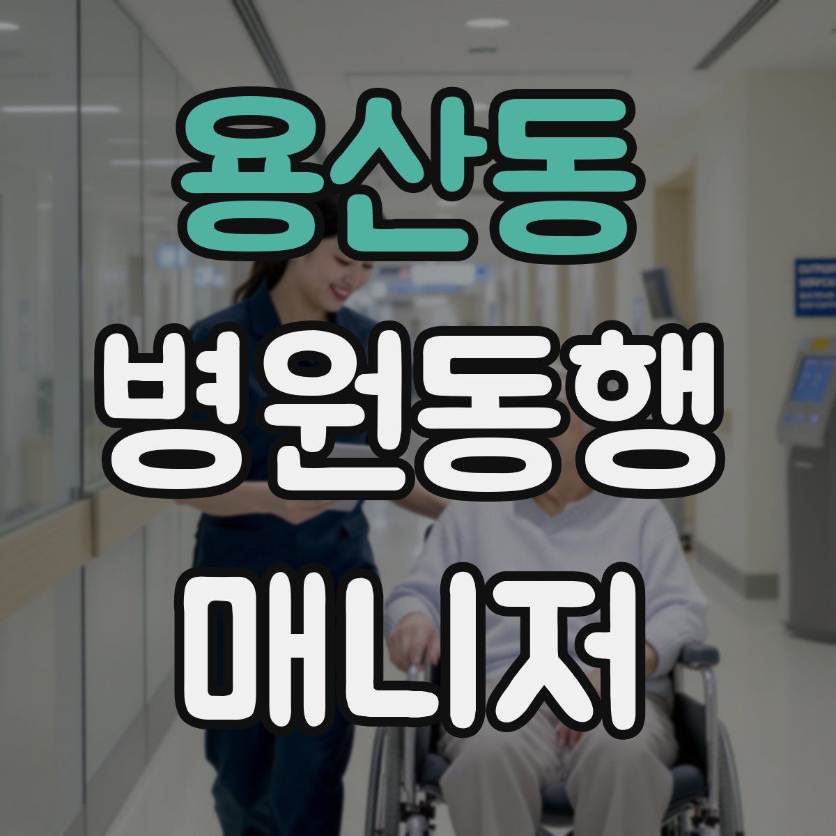 용산동 병원동행매니저 자격증