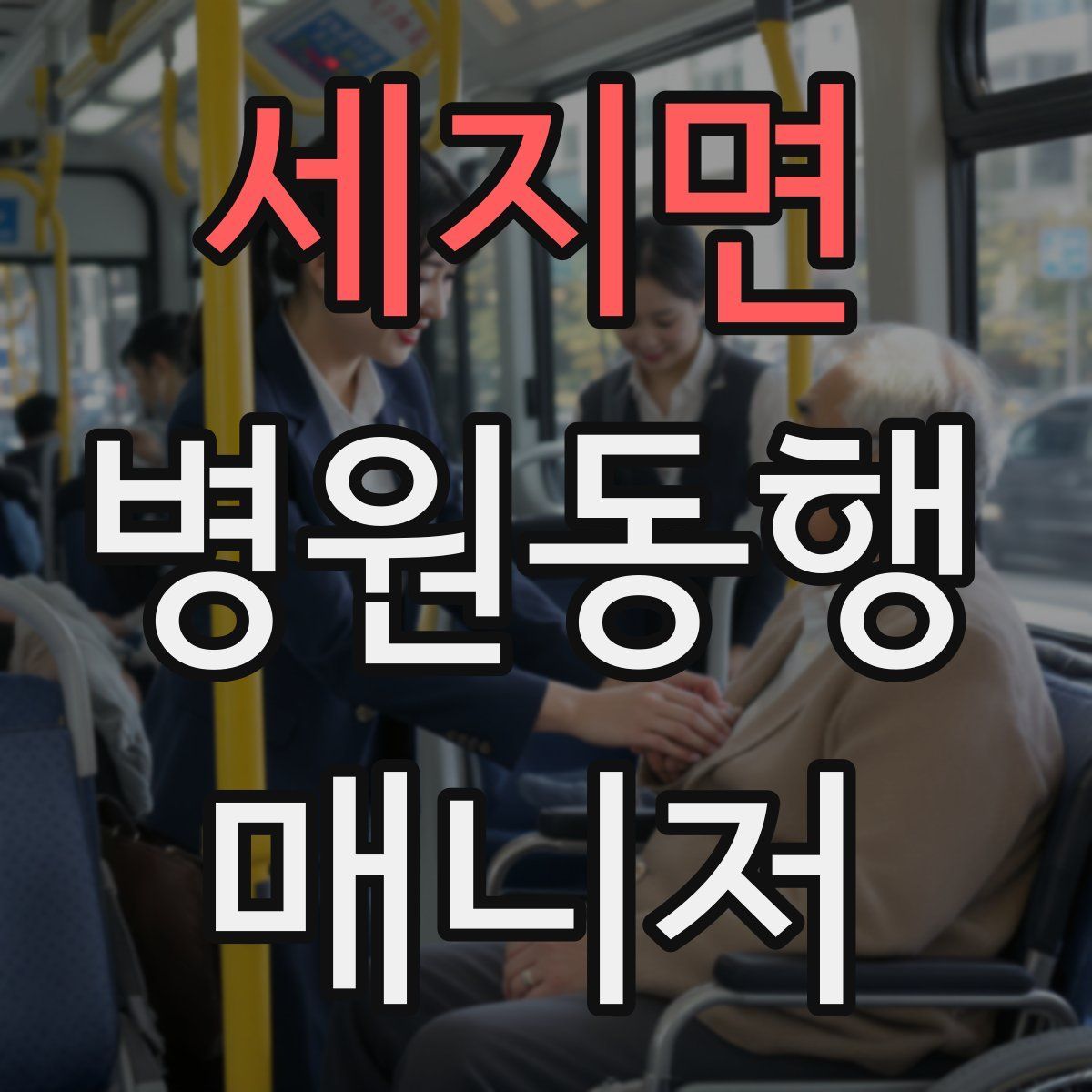 세지면 병원동행매니저 자격증