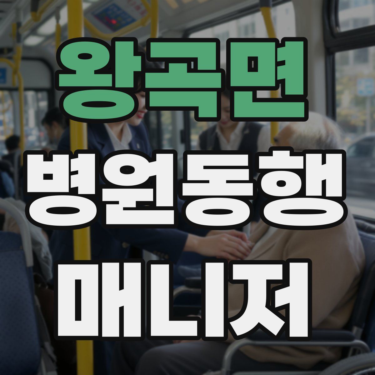 왕곡면 병원동행매니저 자격증