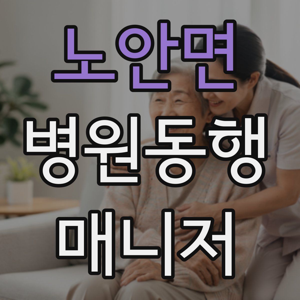 노안면 병원동행매니저 자격증