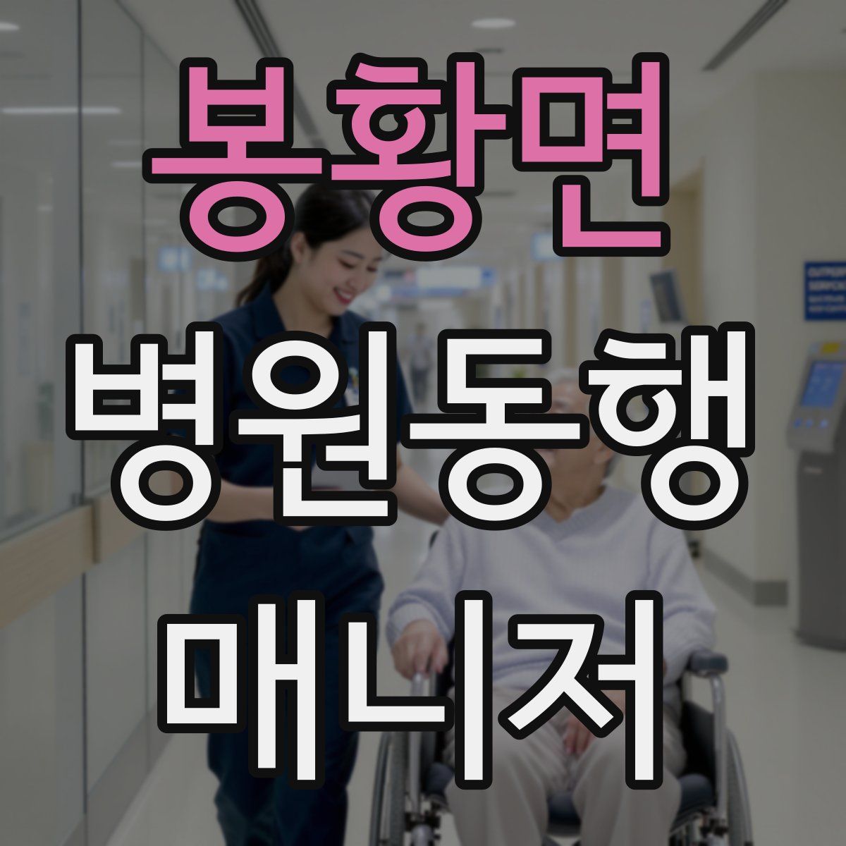 봉황면 병원동행매니저 자격증