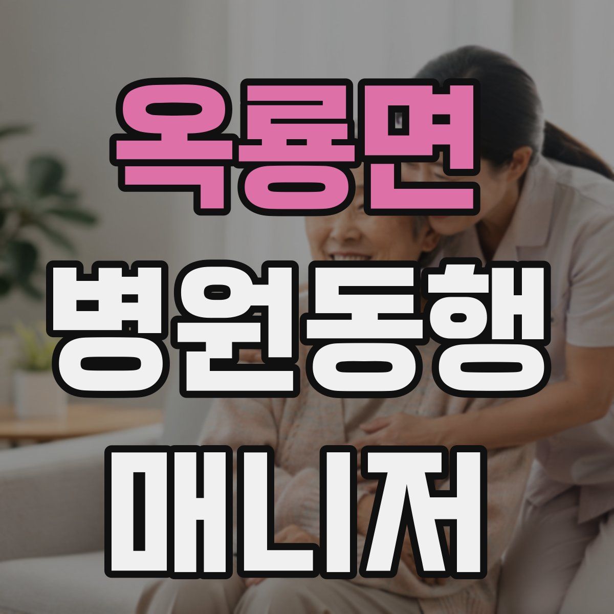 옥룡면 병원동행매니저 자격증