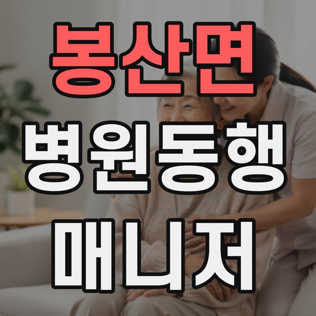 봉산면 병원동행매니저 자격증 시간 부족을 막는 문제 풀이 요령