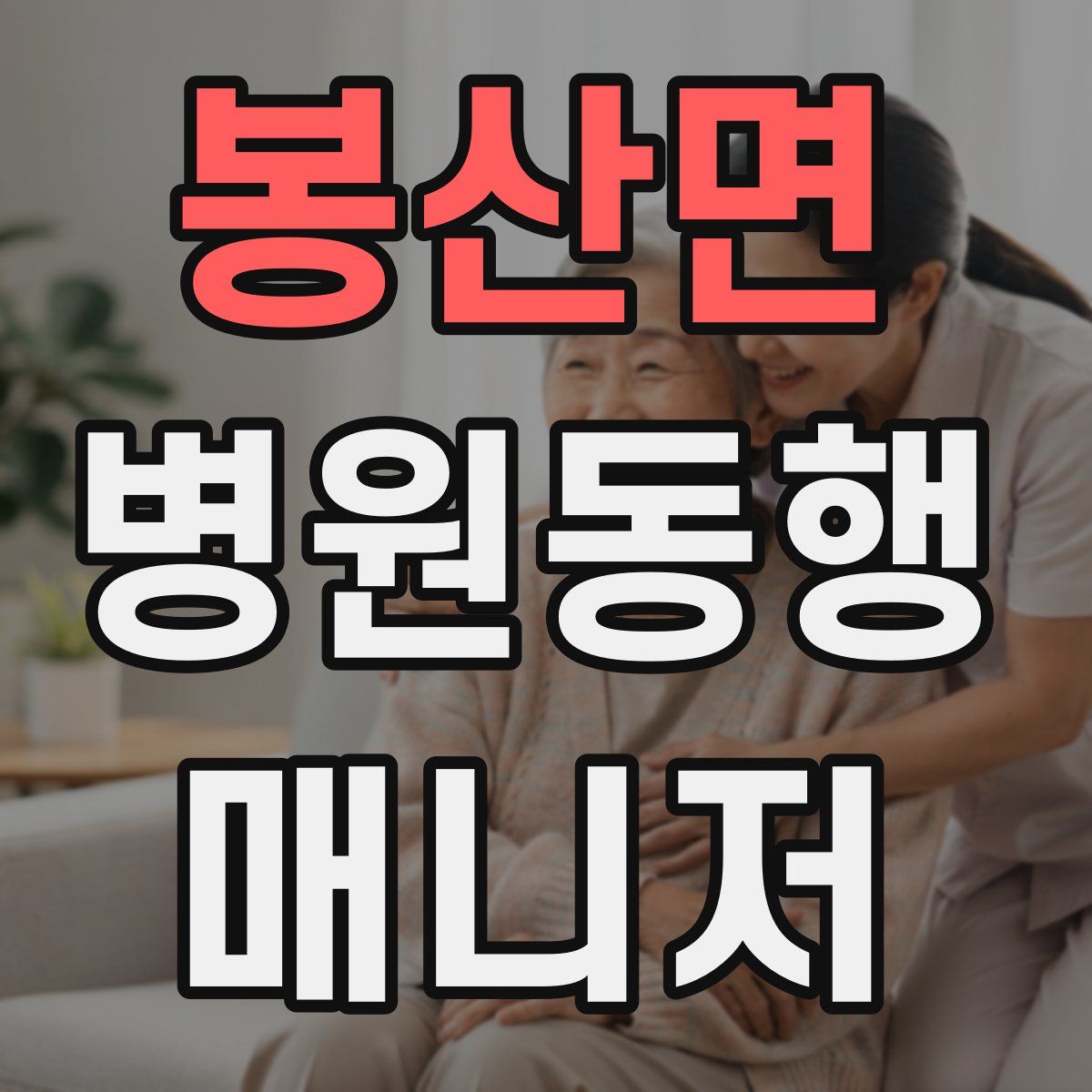 봉산면 병원동행매니저 자격증