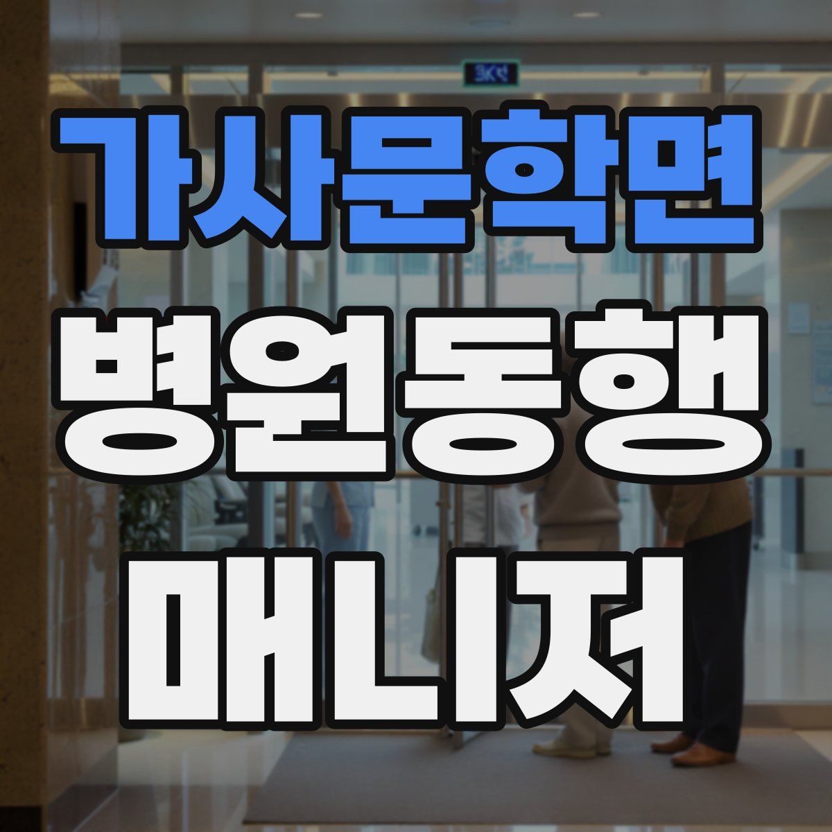 가사문학면 병원동행매니저 자격증