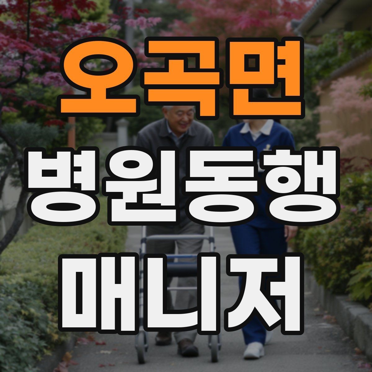 오곡면 병원동행매니저 자격증 수강 전 확인해야 할 체크 포인트