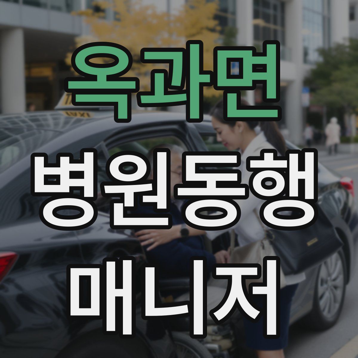 옥과면 병원동행매니저 자격증