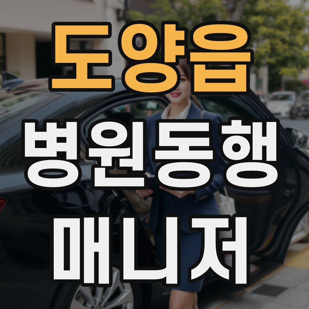 도양읍 병원동행매니저 자격증