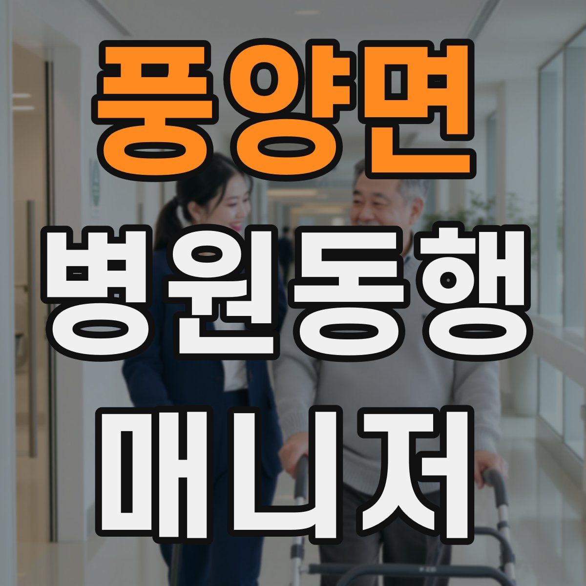 풍양면 병원동행매니저 자격증