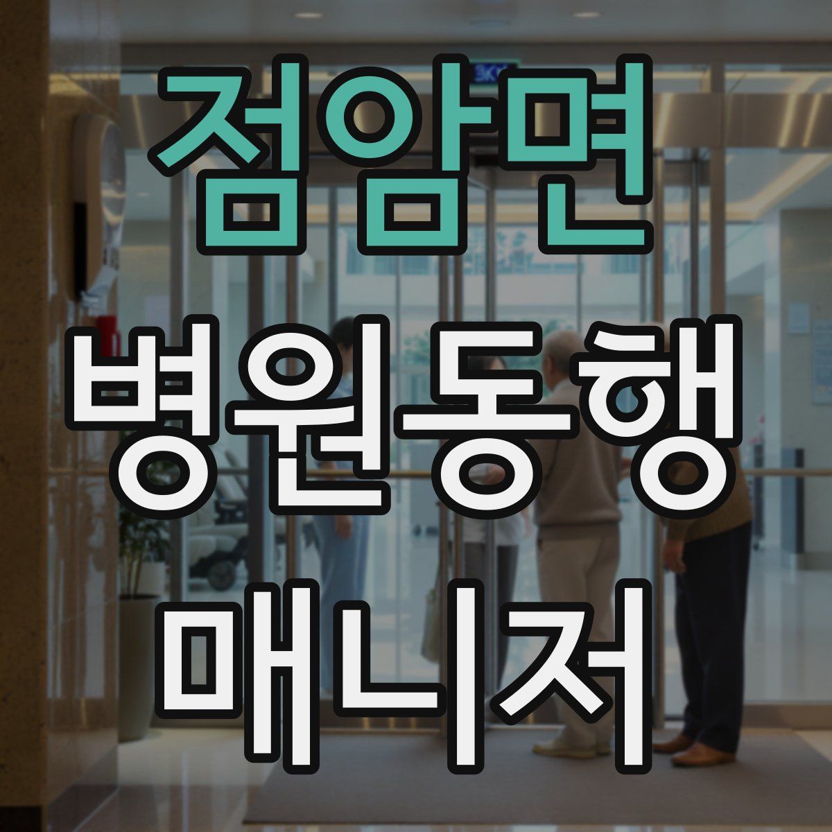 점암면 병원동행매니저 자격증