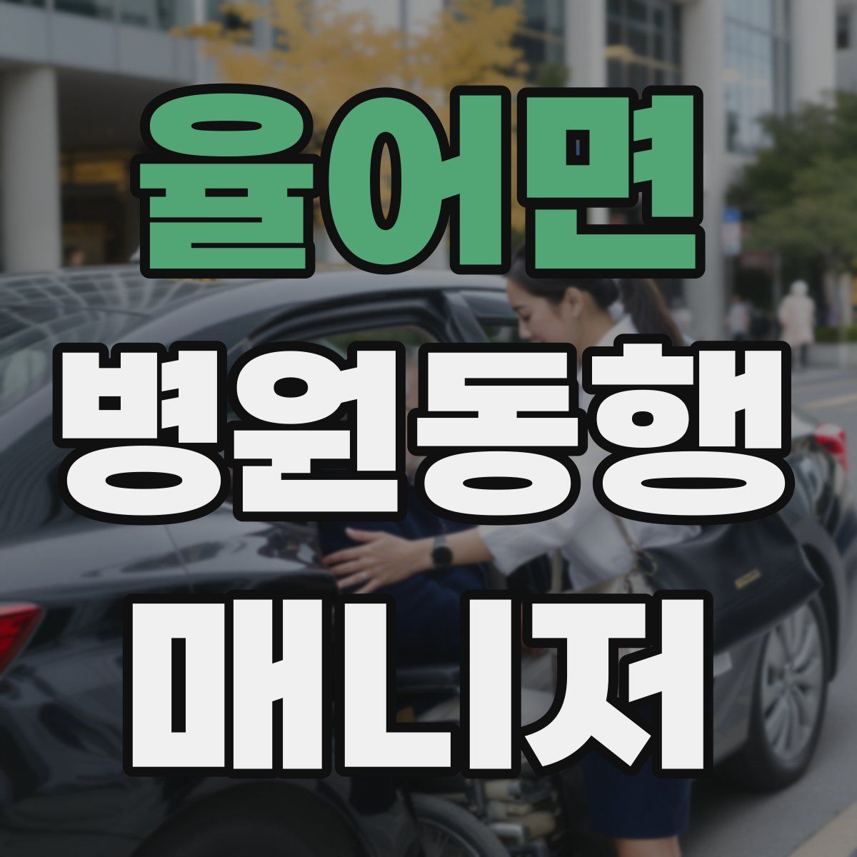 율어면 병원동행매니저 자격증