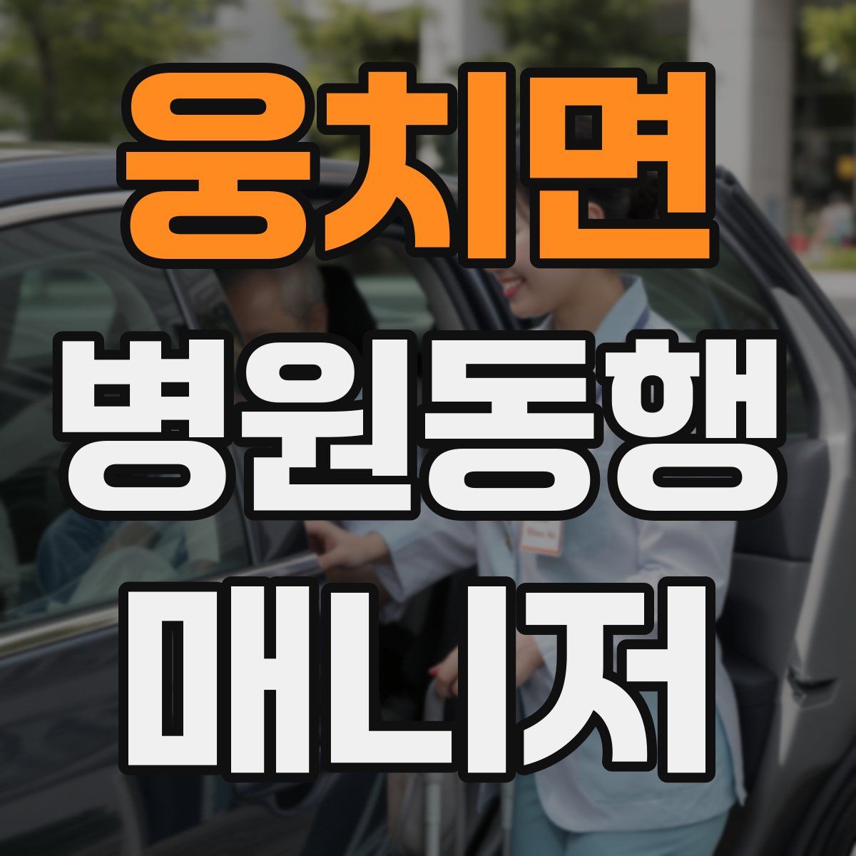 웅치면 병원동행매니저 자격증