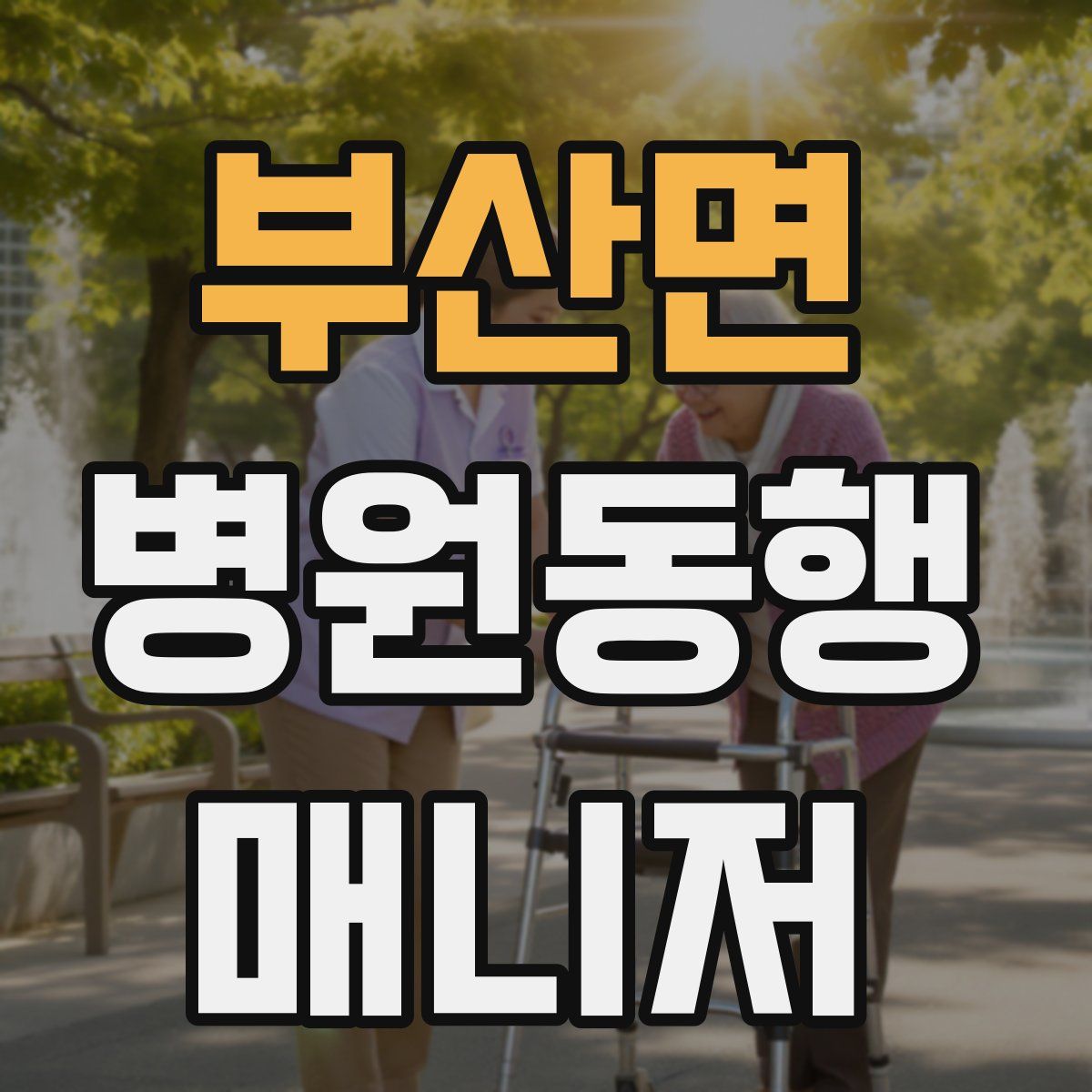 부산면 병원동행매니저 자격증