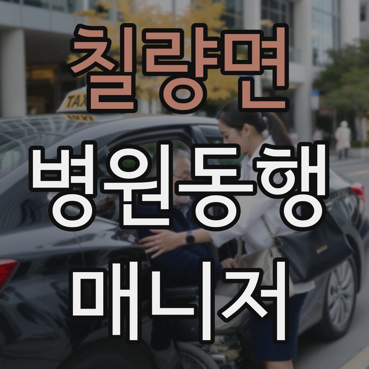 칠량면 병원동행매니저 자격증