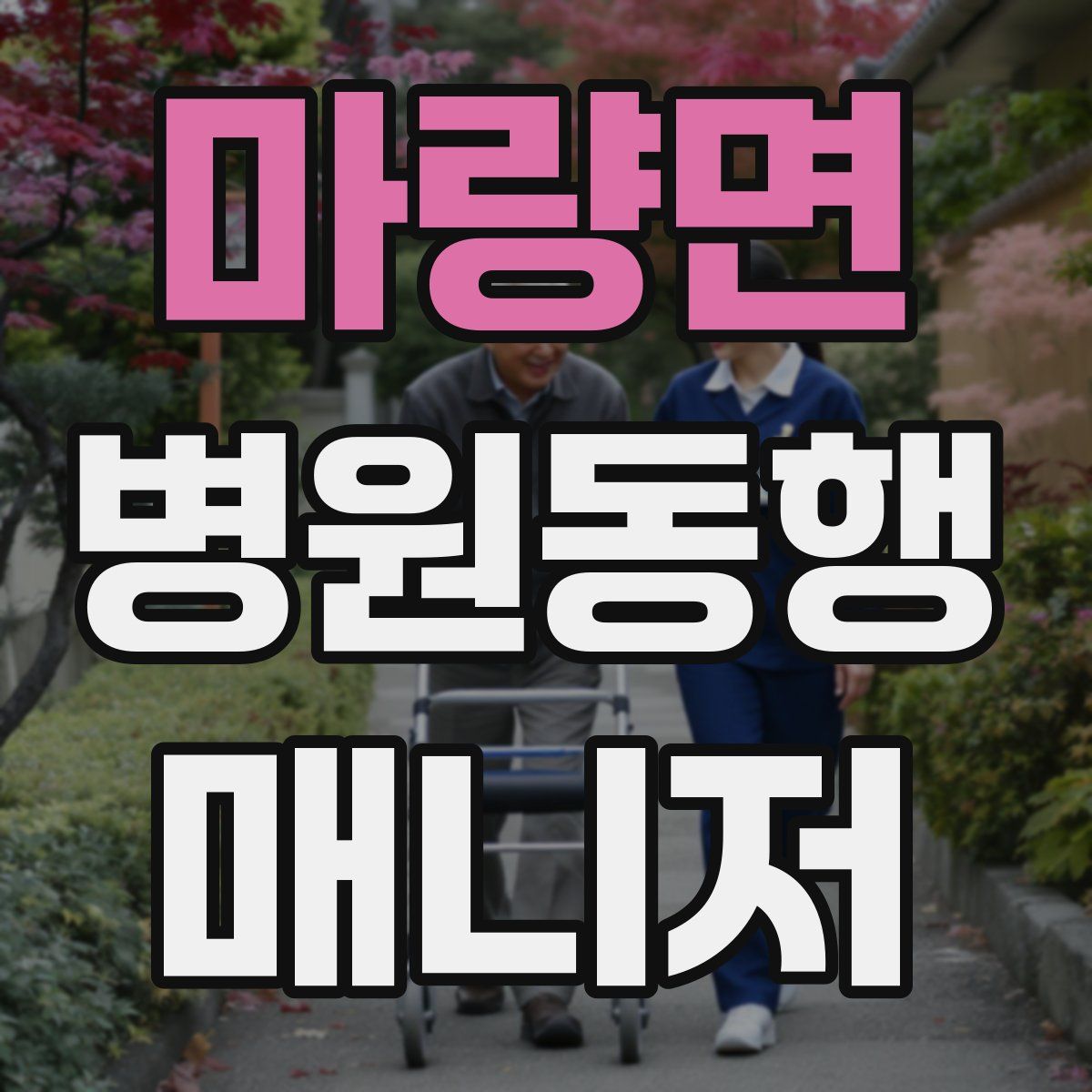 마량면 병원동행매니저 자격증