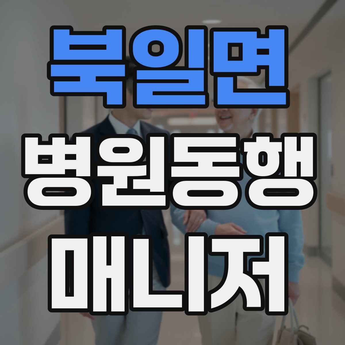 북일면 병원동행매니저 자격증