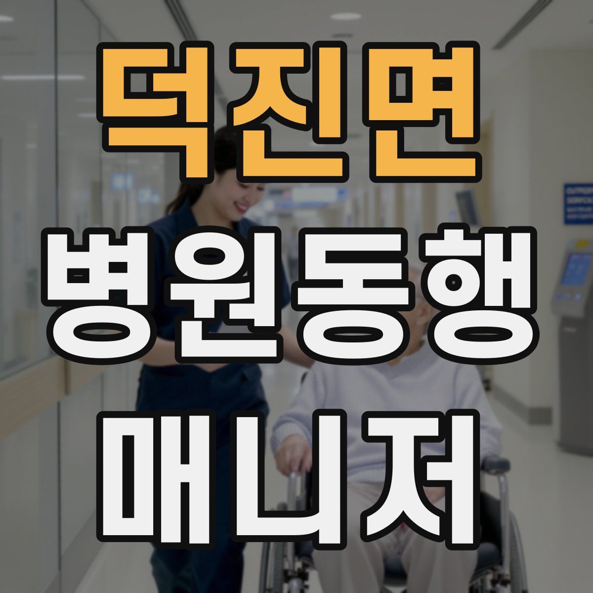 덕진면 병원동행매니저 자격증
