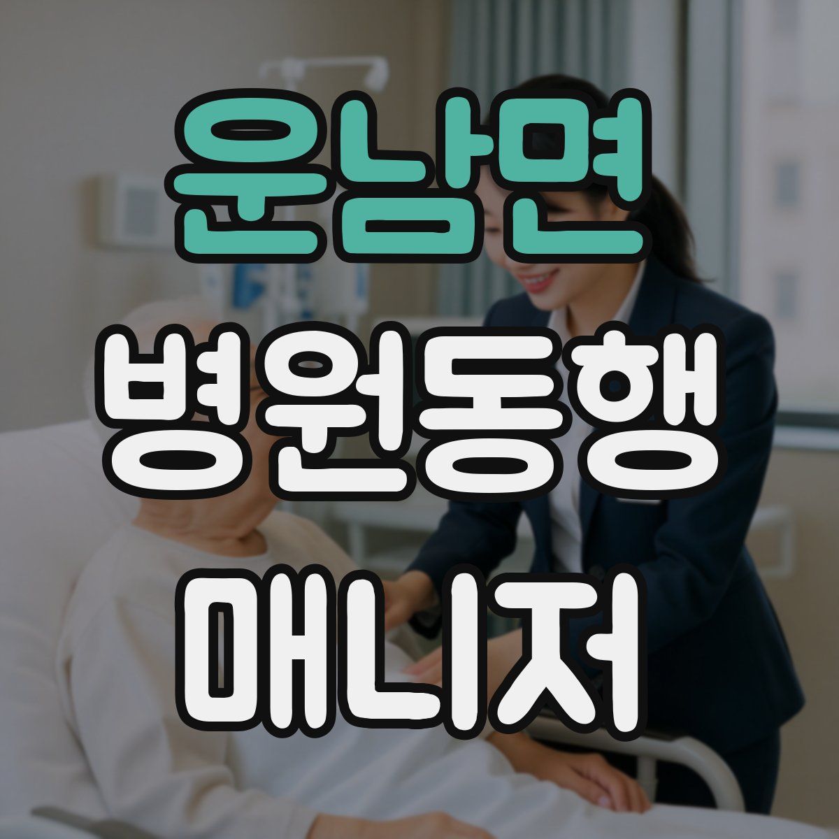 운남면 병원동행매니저 자격증