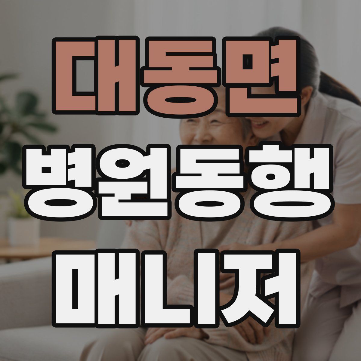 대동면 병원동행매니저 자격증