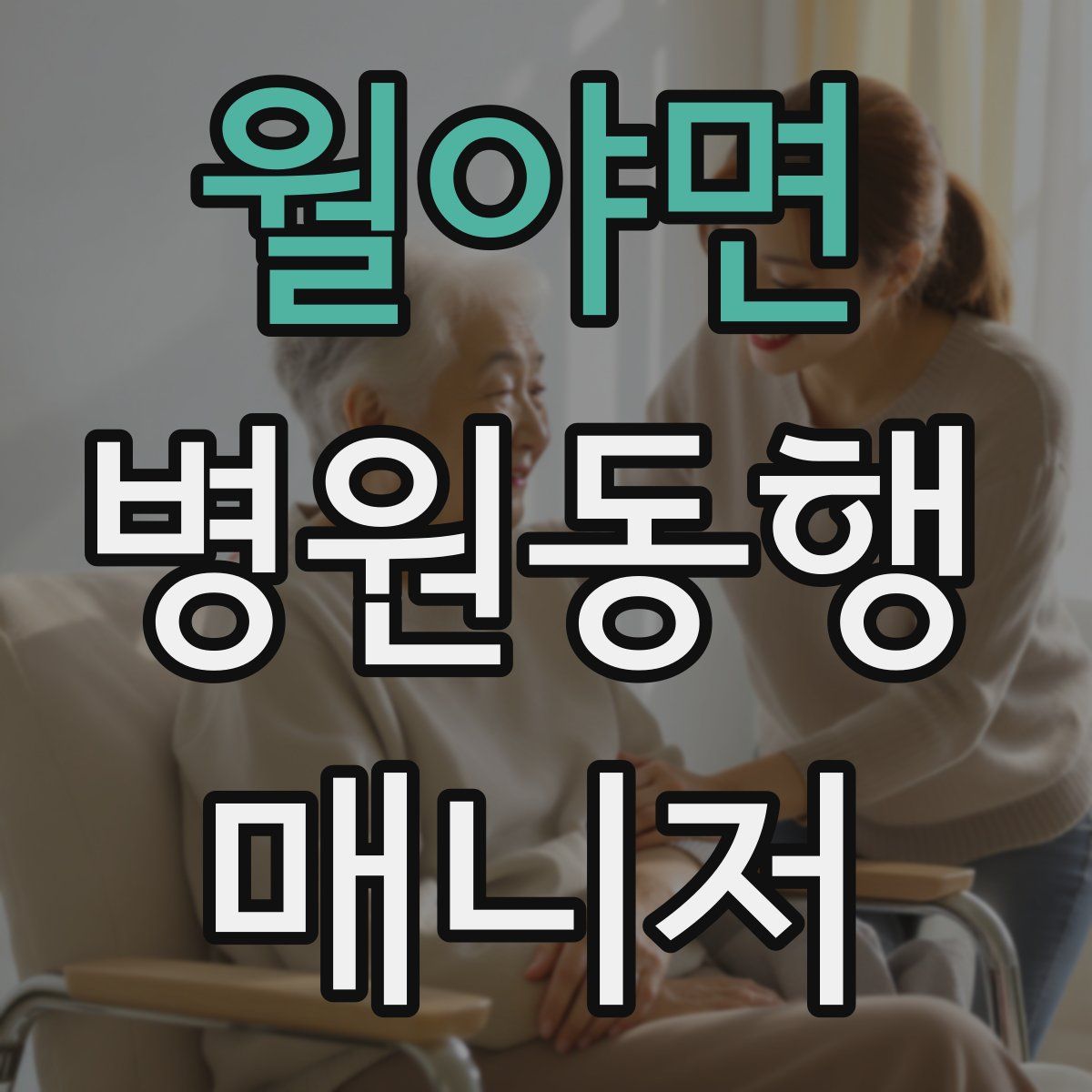 월야면 병원동행매니저 자격증