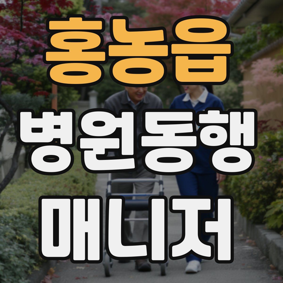 홍농읍 병원동행매니저 자격증