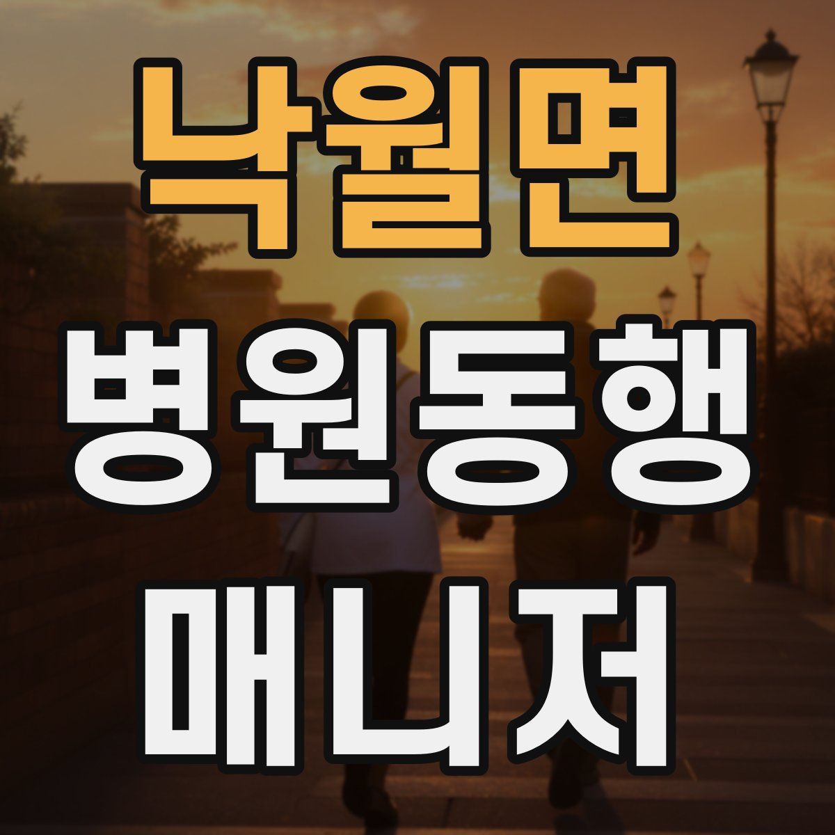 낙월면 병원동행매니저 자격증