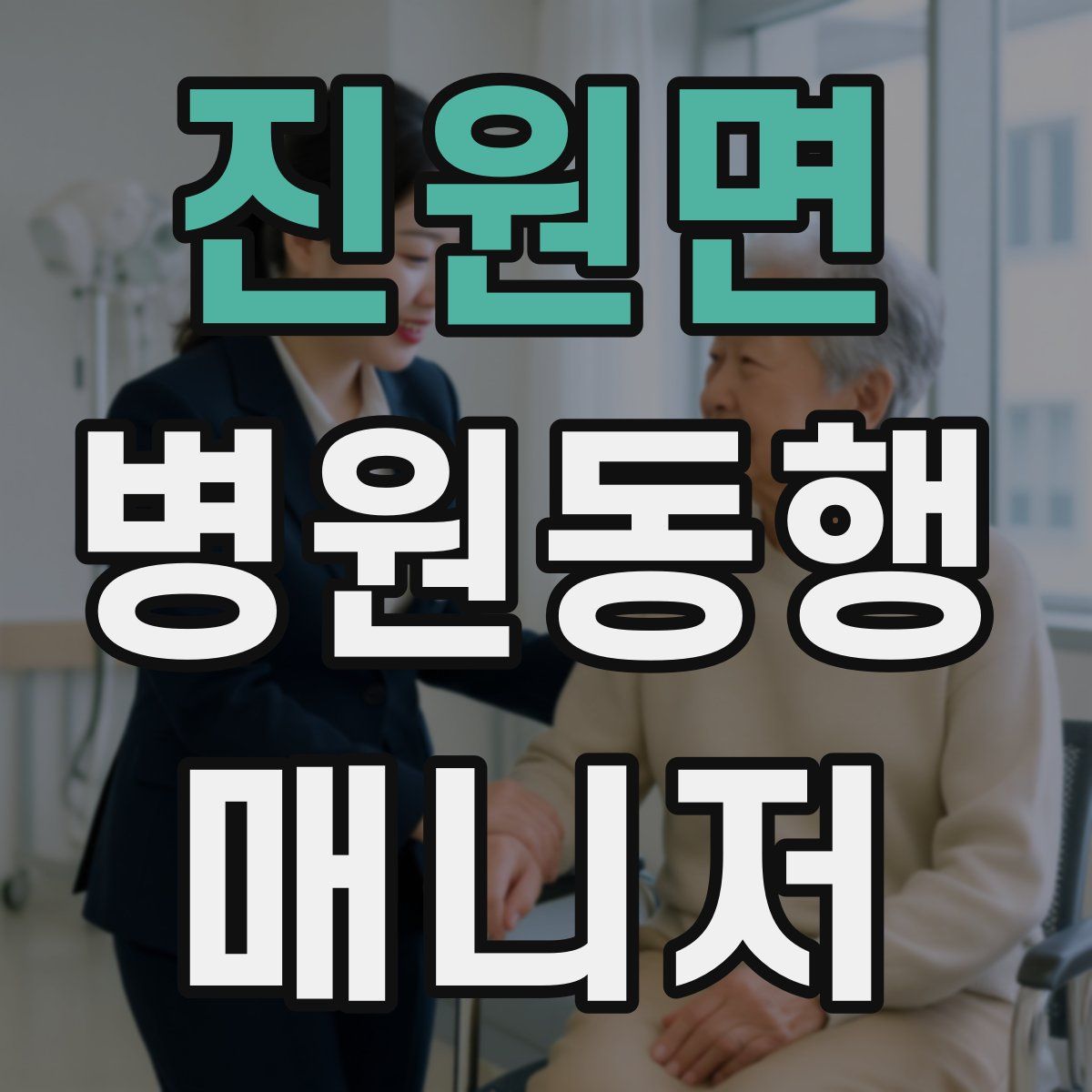 진원면 병원동행매니저 자격증
