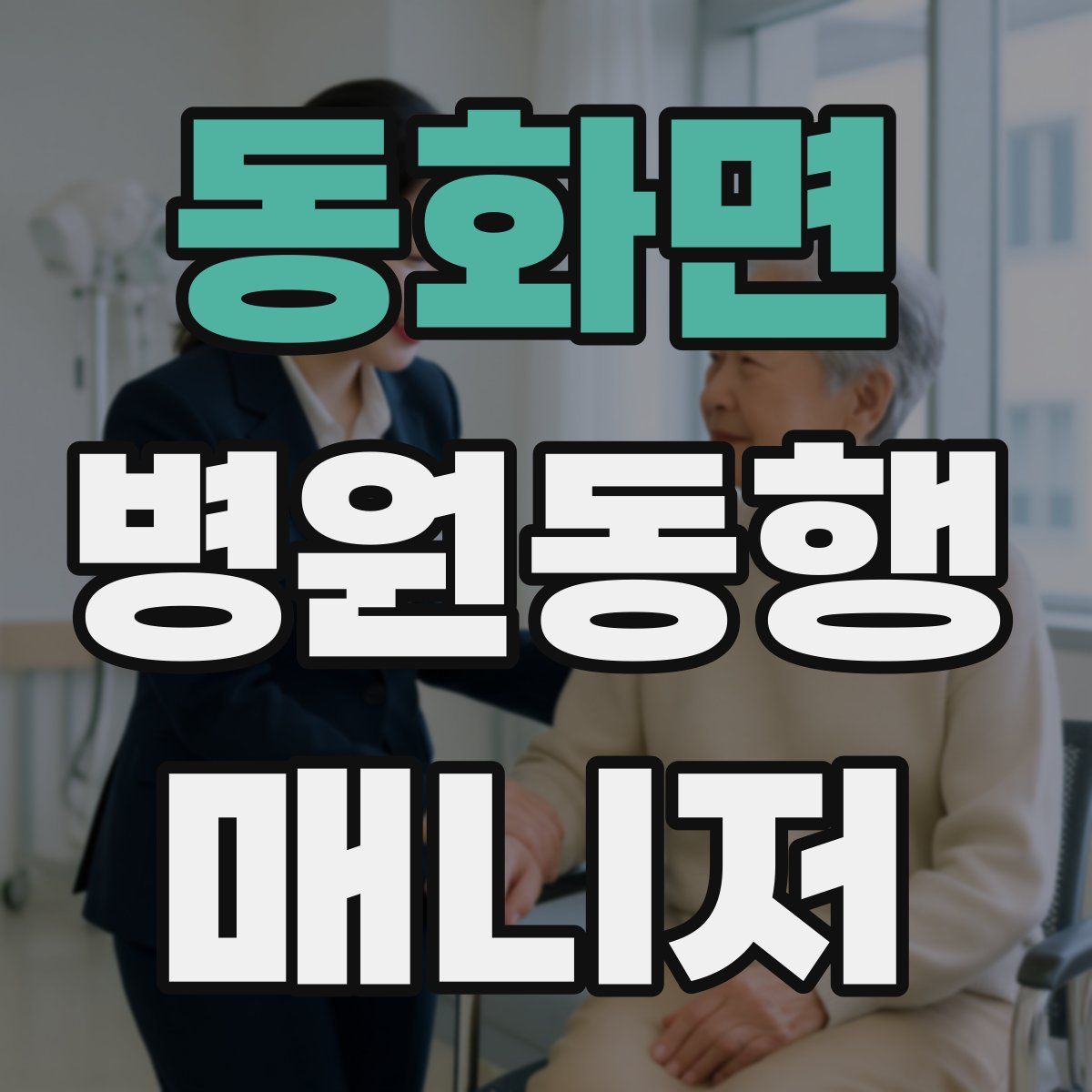 동화면 병원동행매니저 자격증