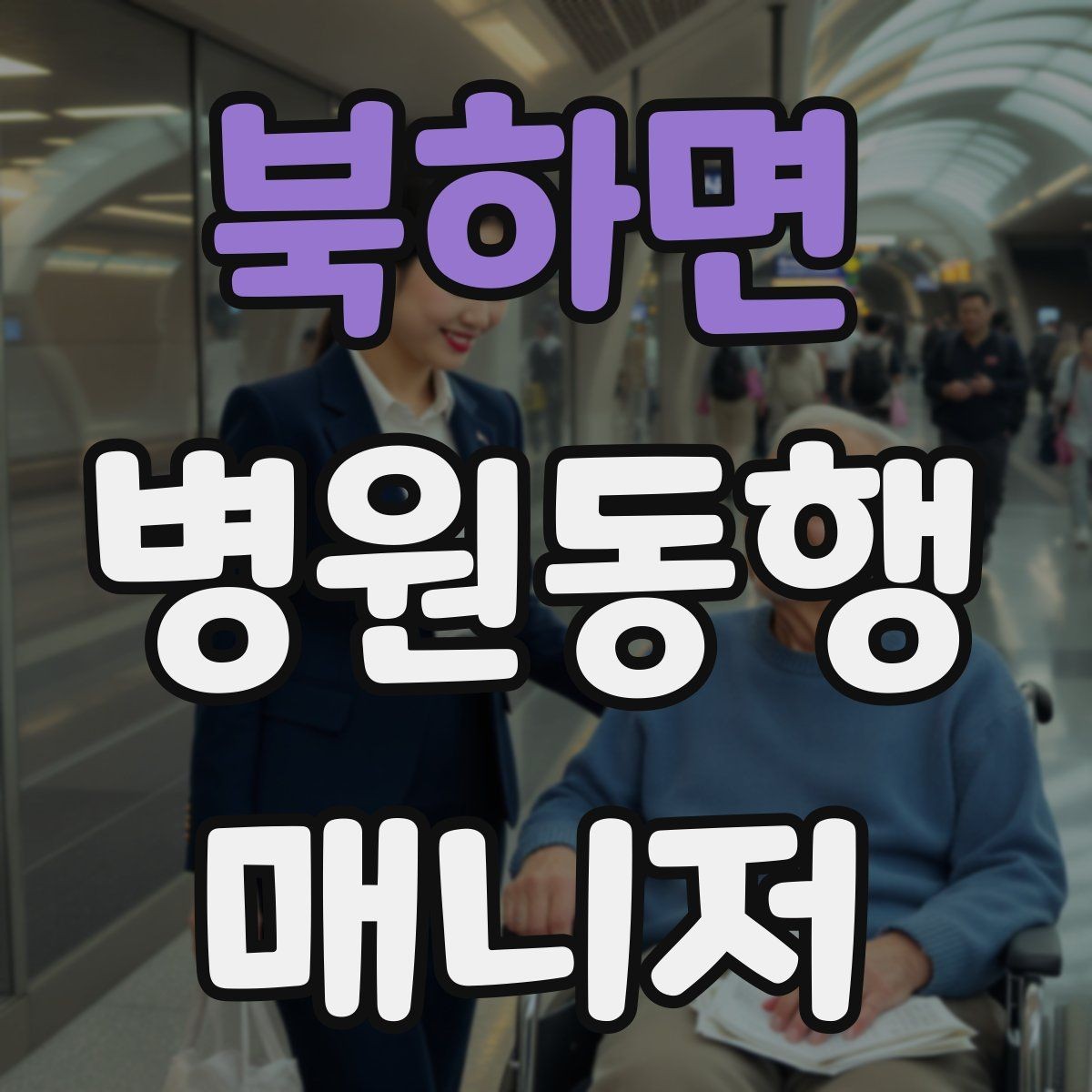 북하면 병원동행매니저 자격증 일정 확정 전 확인 질문 리스트
