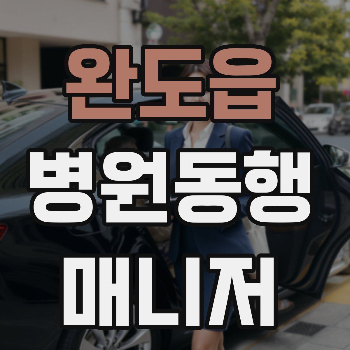 완도읍 병원동행매니저 자격증
