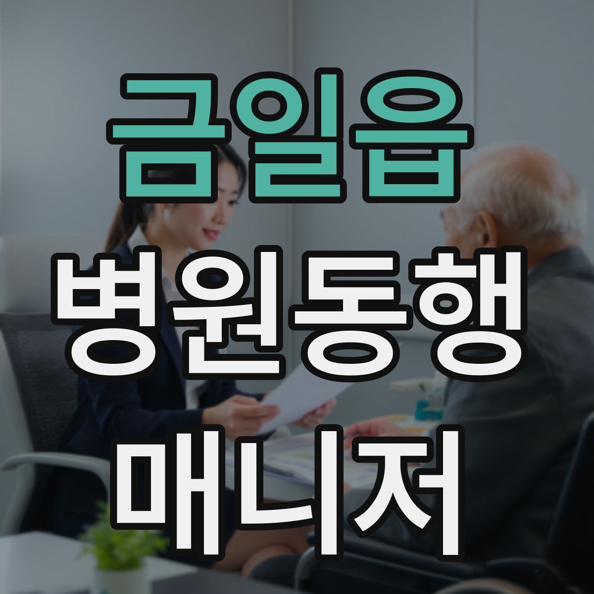 금일읍 병원동행매니저 자격증
