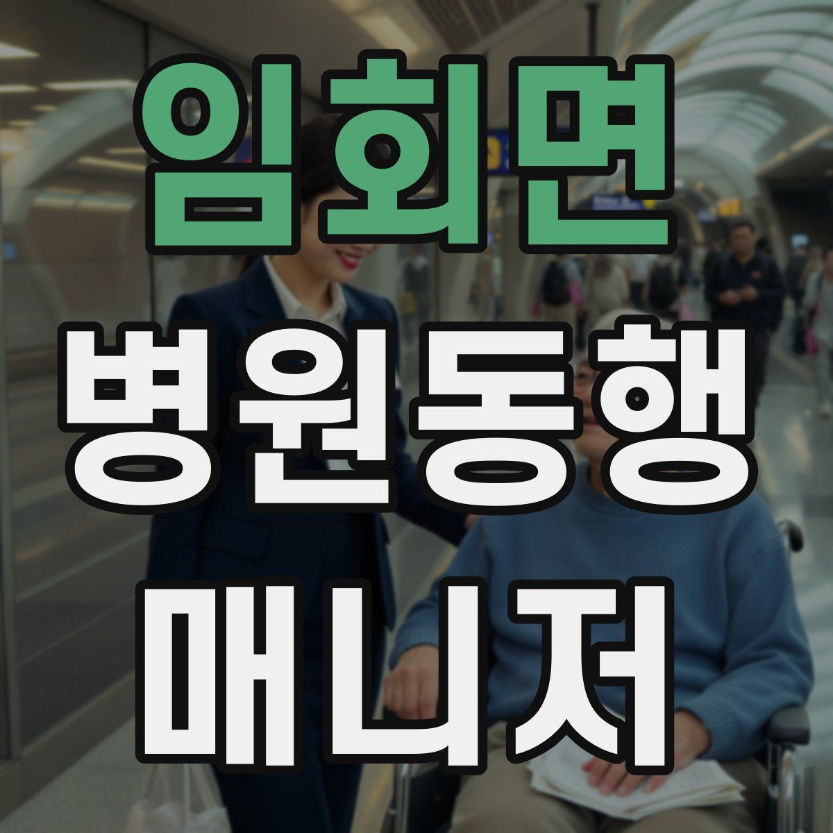 임회면 병원동행매니저 자격증