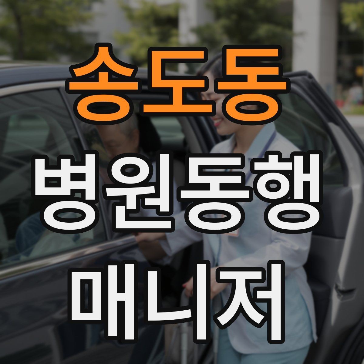 송도동 병원동행매니저 자격증 검사 항목 약어를 정리해두는 이유