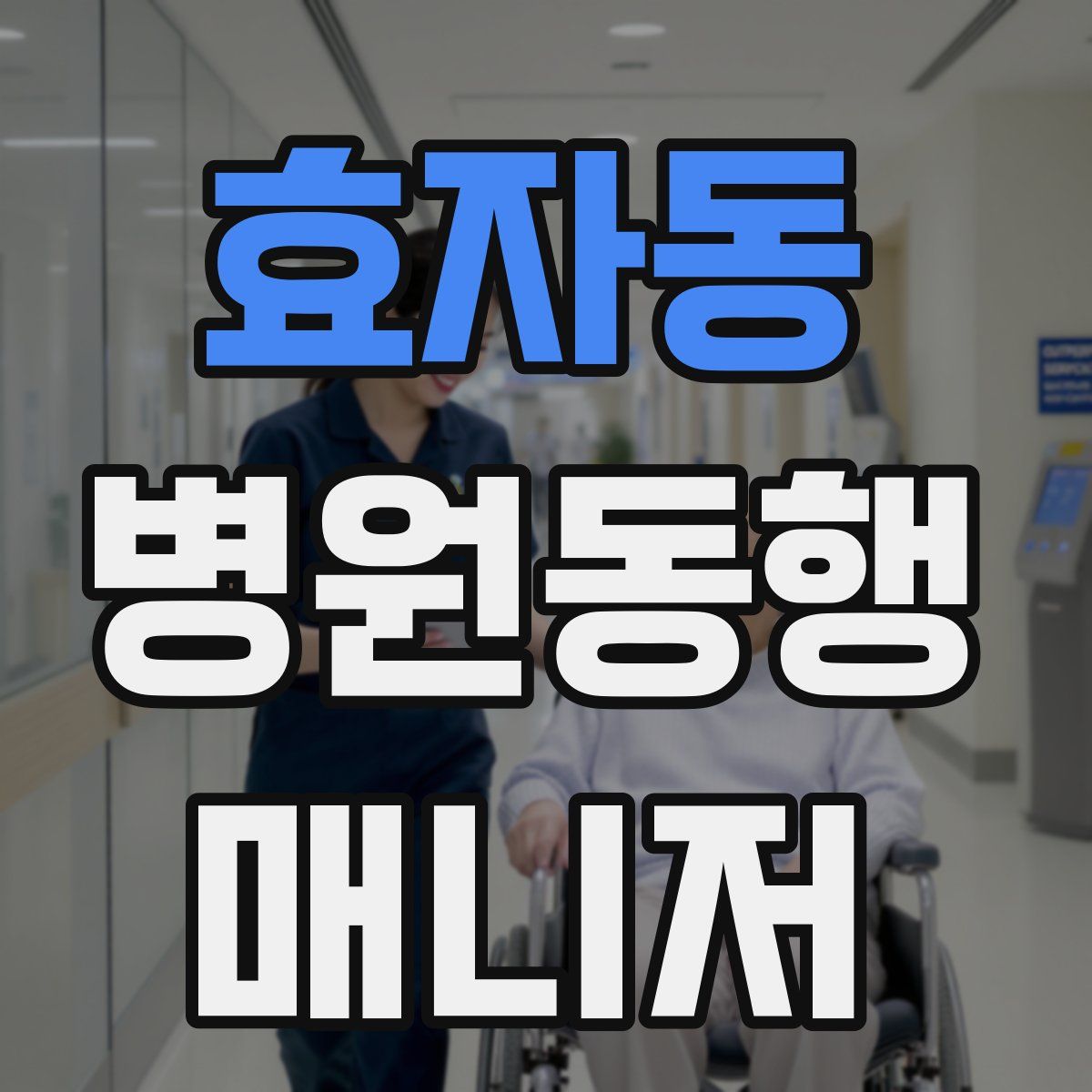 효자동 병원동행매니저 자격증